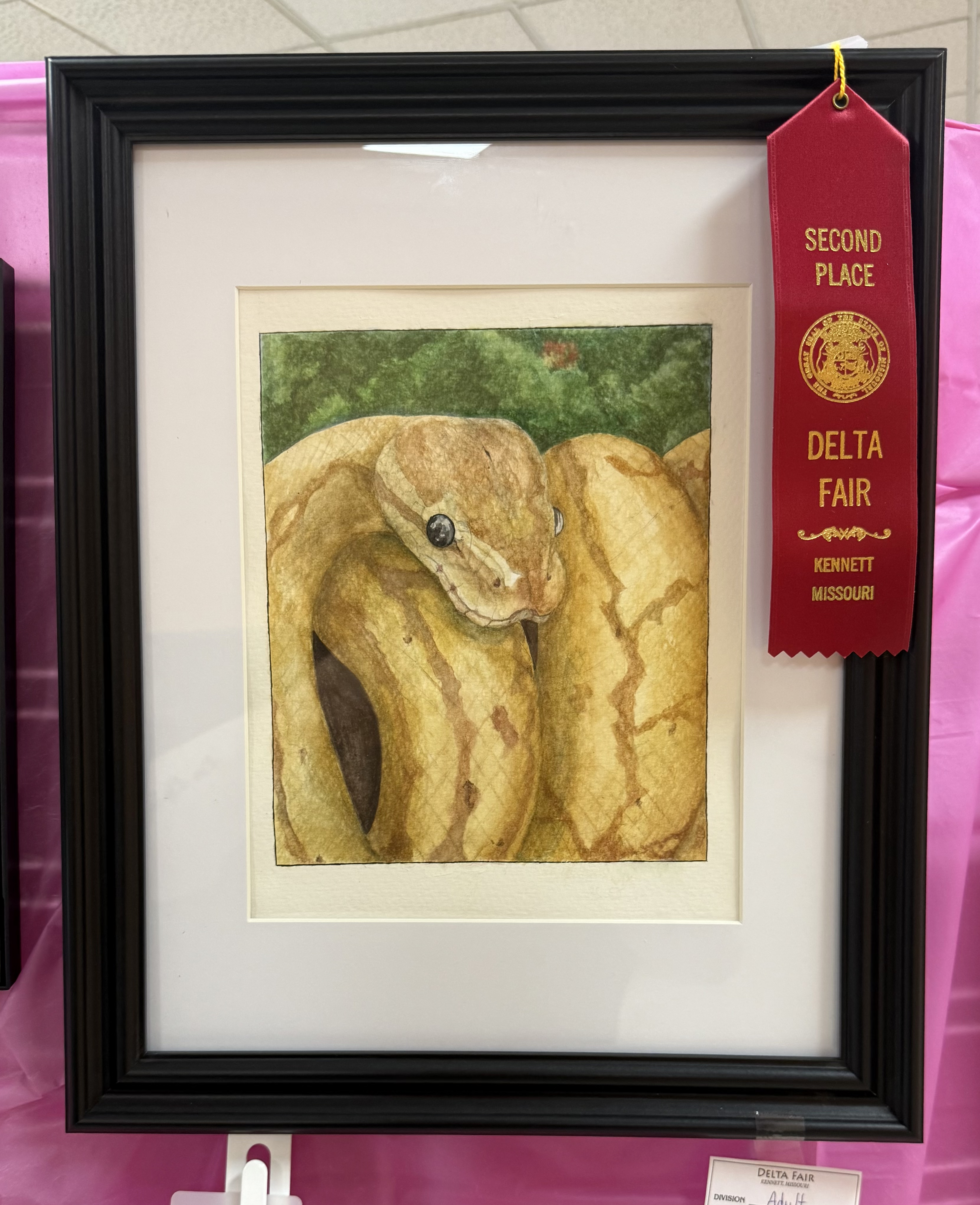 Nova 2nd Place Ribbon - Delta Fair