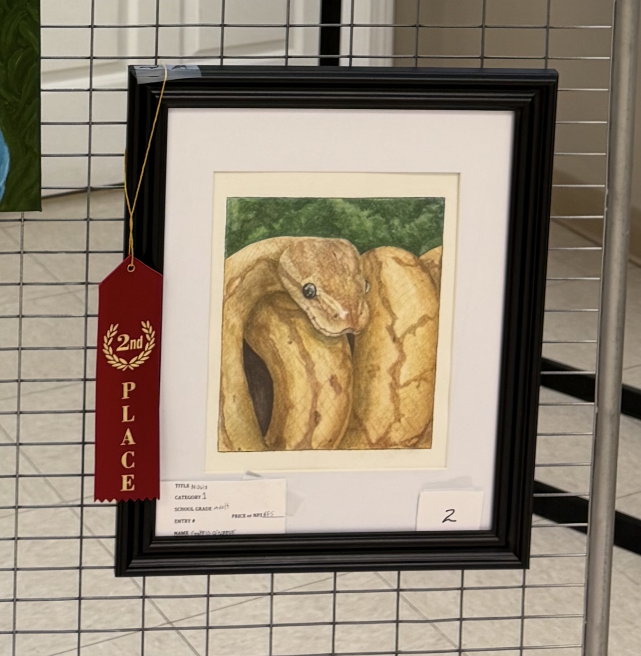 Nova 2nd Place Ribbon - Fall into Arts