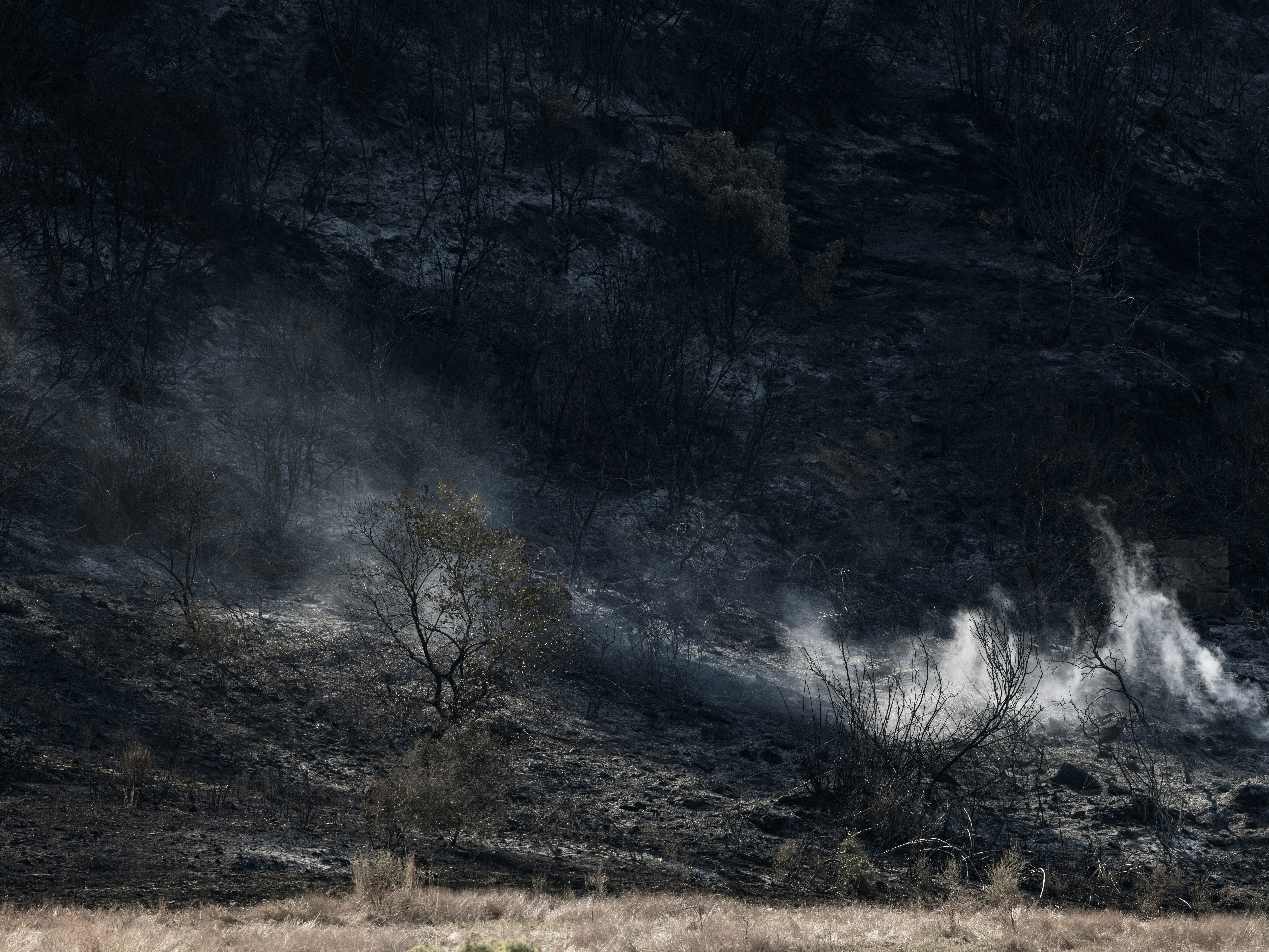 Extinction events in Earth's history